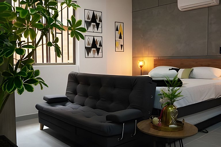 Lujoso y cómodo loft con A.C. 206