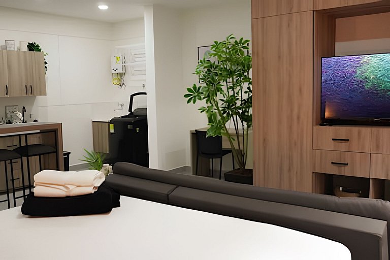 Lujoso y cómodo loft con A.C. 206